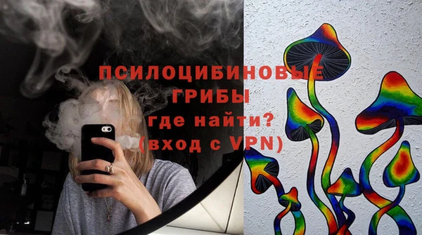 ПСИЛОЦИБИНОВЫЕ ГРИБЫ Надым