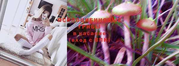 индика Наволоки