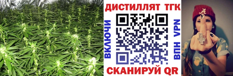 Дистиллят ТГК Wax  Бердск 