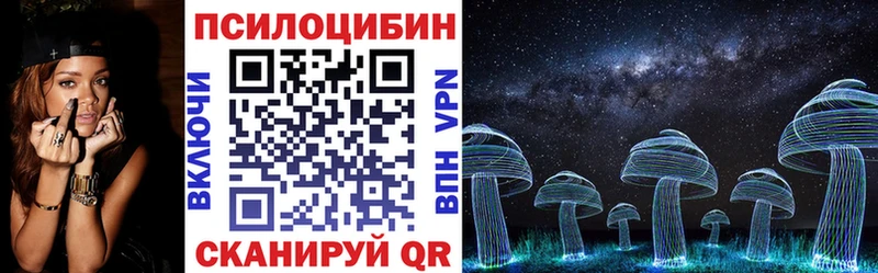 Псилоцибиновые грибы Psilocybe Бердск